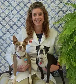 Meet Our Doctors in Peoria, IL | Whitney Veterinary Hospital