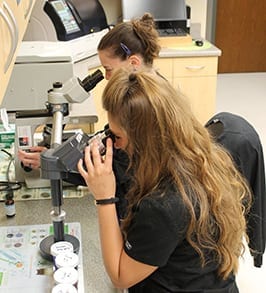 vet looking through a microscope: Community Involvement in Peoria