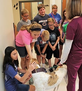 Kids petting a dog: Community Involvement in Peoria