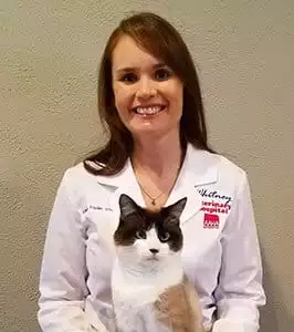 Meet Our Doctors in Peoria, IL | Whitney Veterinary Hospital