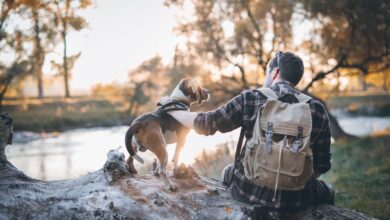 How to Keep Your Dog Safe During Outdoor Adventures: Hiking, Camping, and More