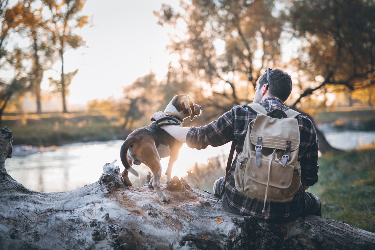 How to Keep Your Dog Safe During Outdoor Adventures: Hiking, Camping, and  More | Whitney Veterinary Hospital