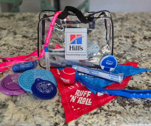 contents of a first aid kit